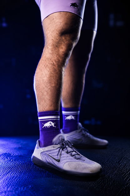 Haynes Strength Team Paddy Socks