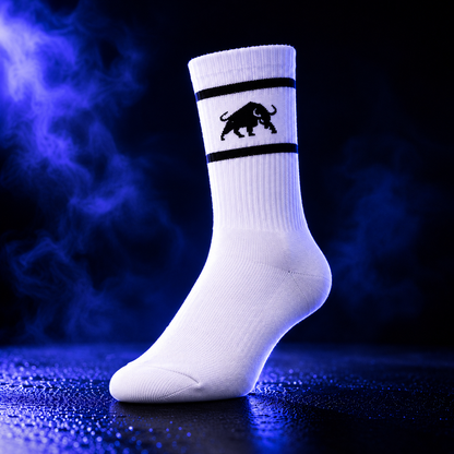 Haynes Strength Team Paddy Socks