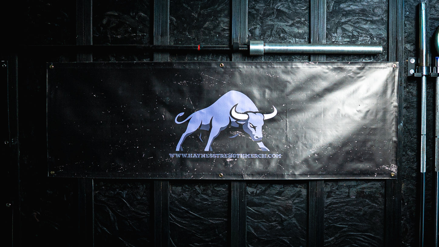 Vinyl Gym Banner
