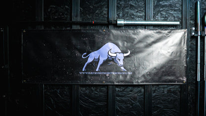 Vinyl Gym Banner
